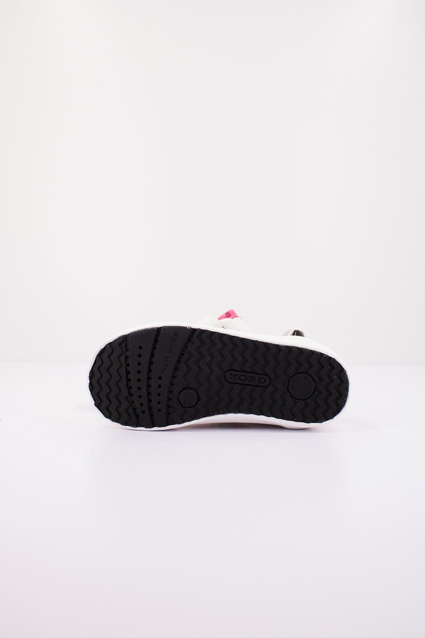 GEOX B KILWI GIRL en color C (4)