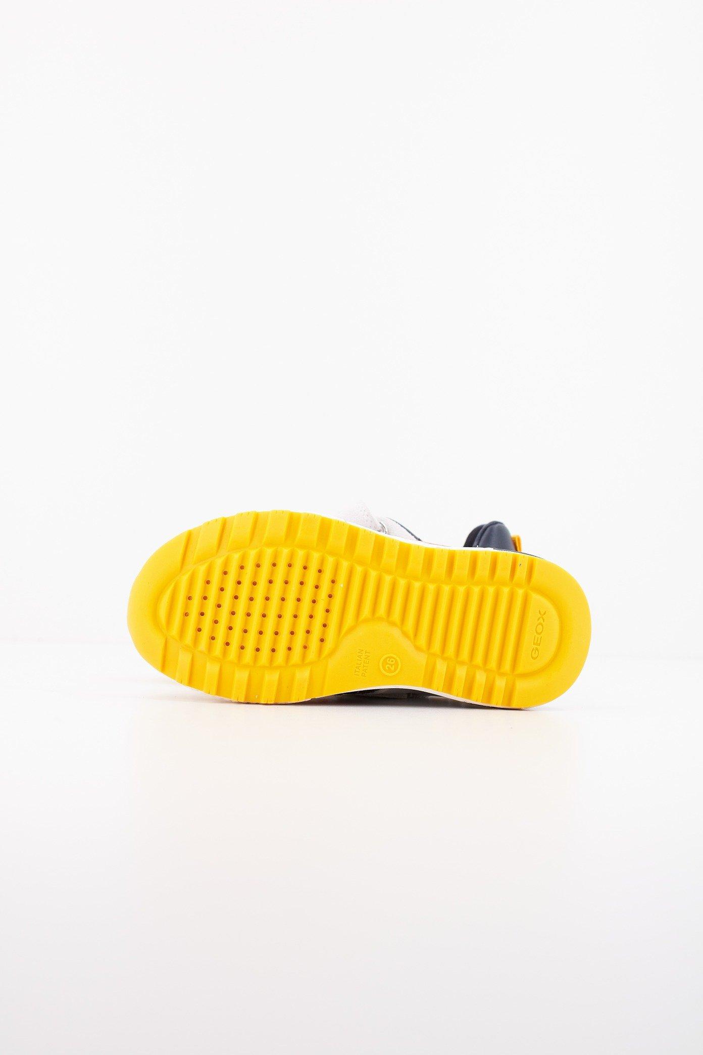 GEOX B ALBEN BOY en color C (4)