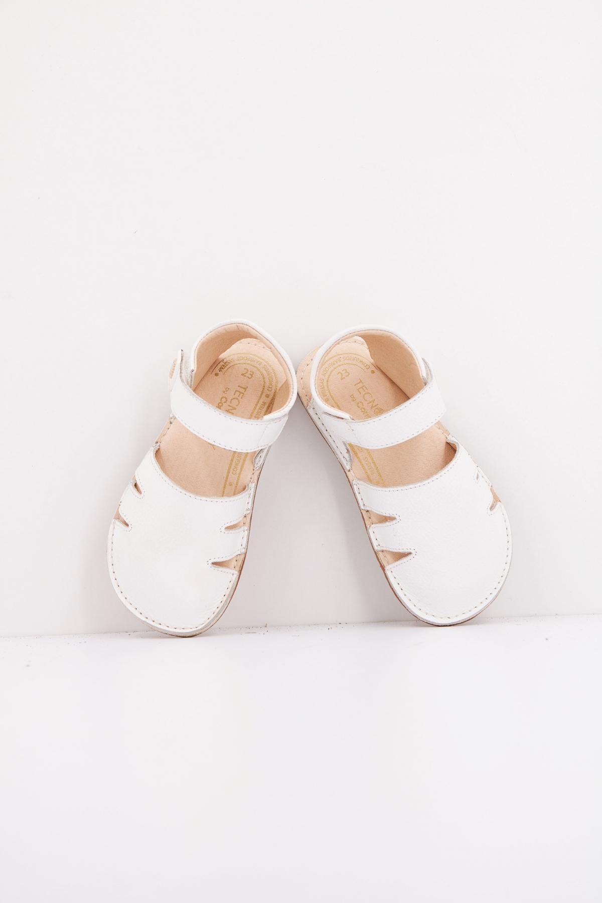 TECNOBABY TESH en color WHITE (3)