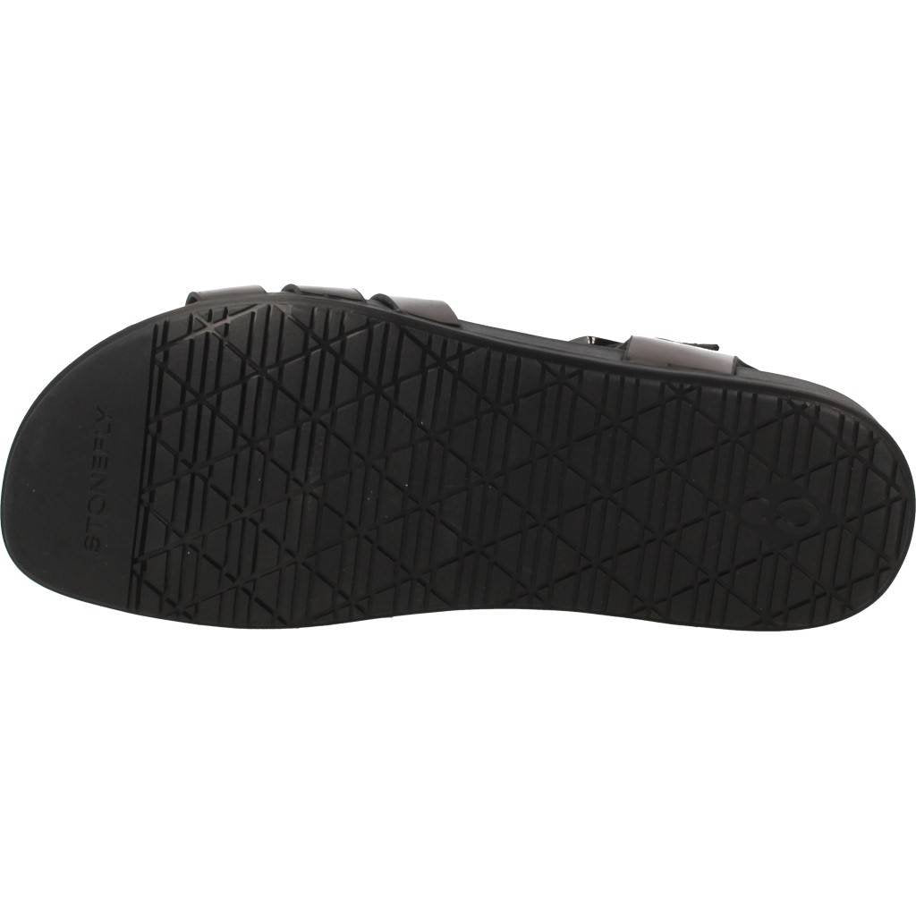 STONEFLY STEP en color (7)