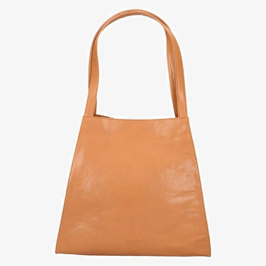 UNISA ZNELA en color CNLLE (3)