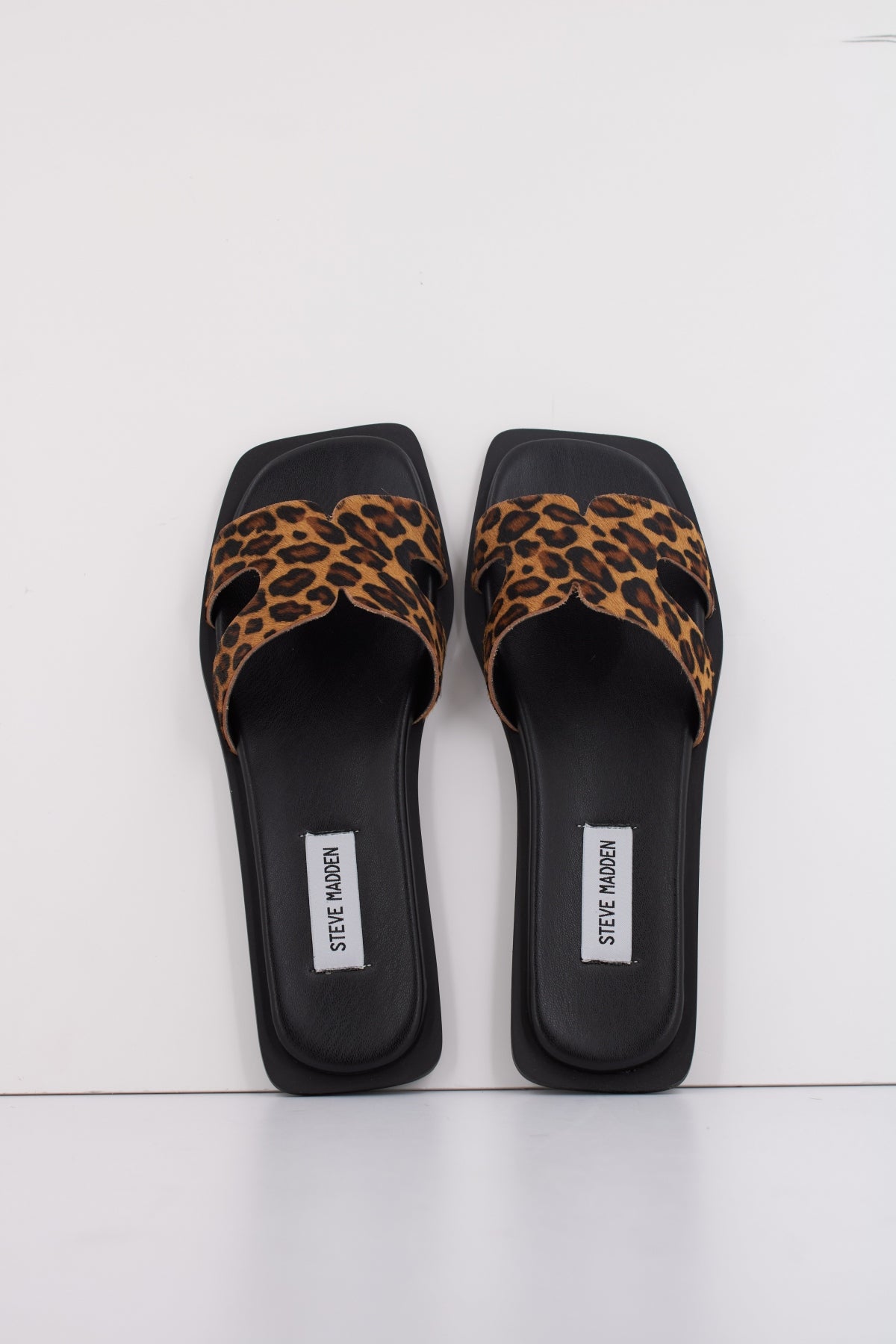 STEVE MADDEN SOFIA-L en color LPRD (3)