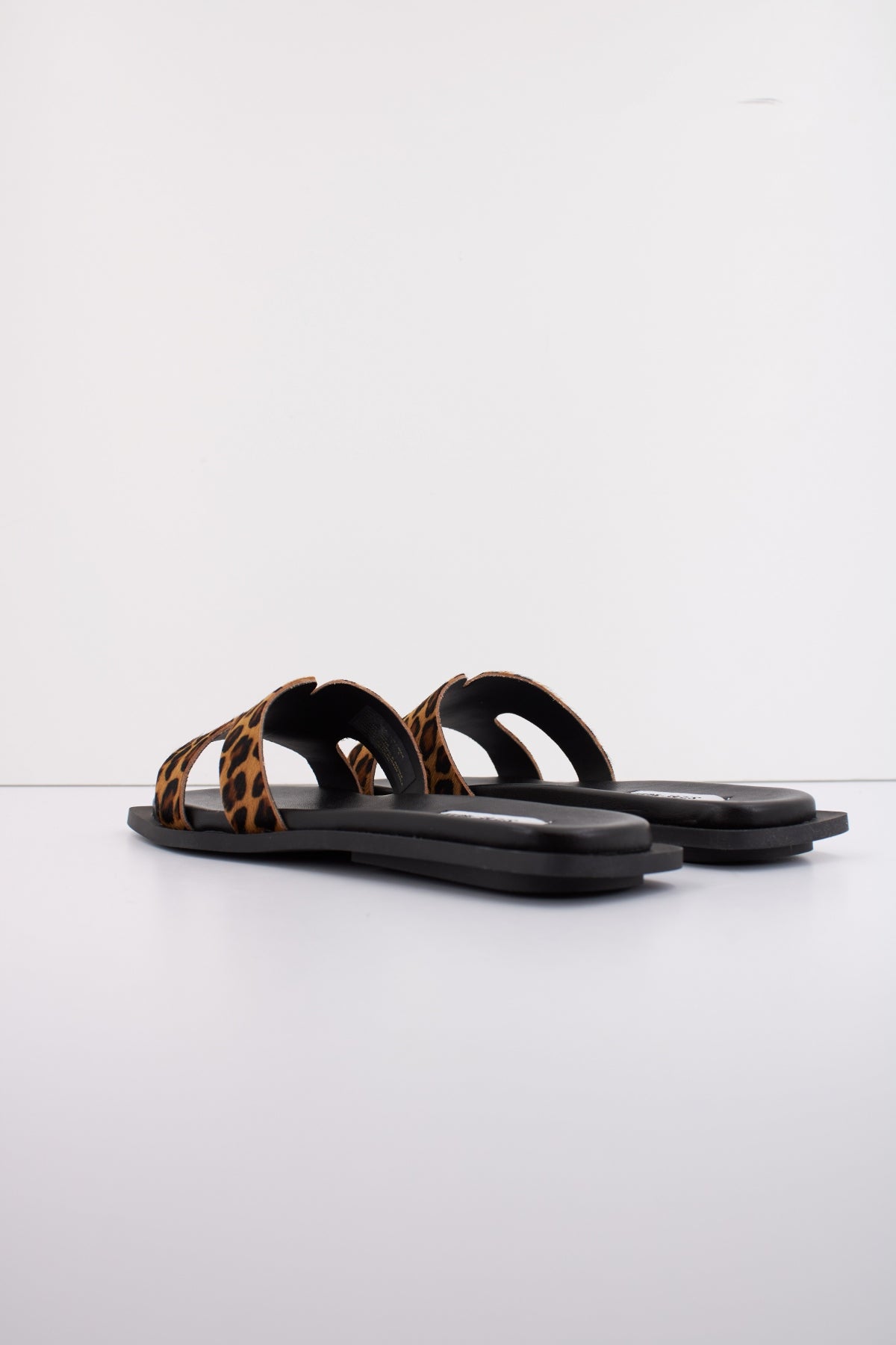 STEVE MADDEN SOFIA-L en color LPRD (4)