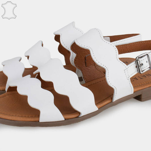 ZIAN _ en color BLANCO  (1)
