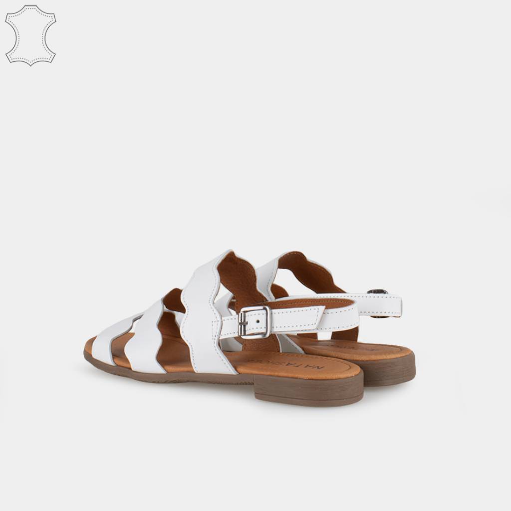 ZIAN _ en color BLANCO  (4)