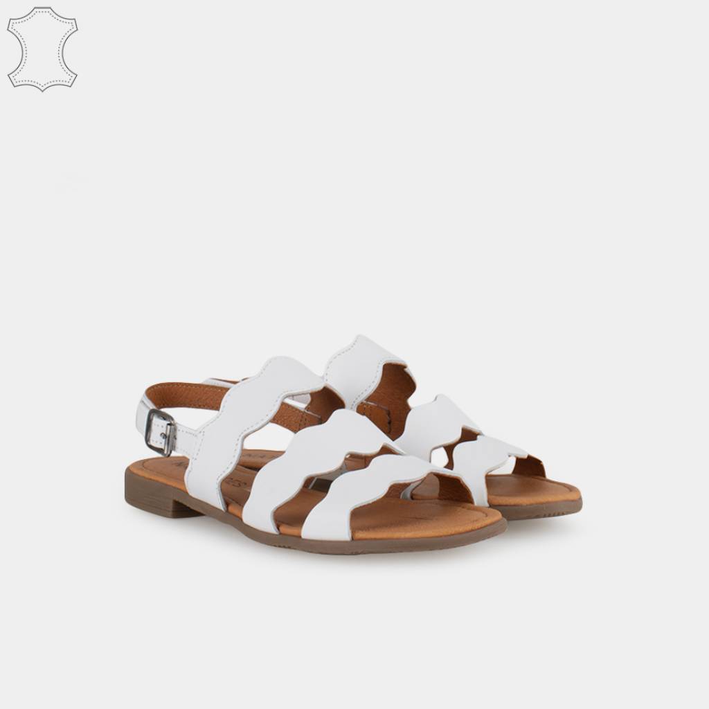 ZIAN _ en color BLANCO  (5)