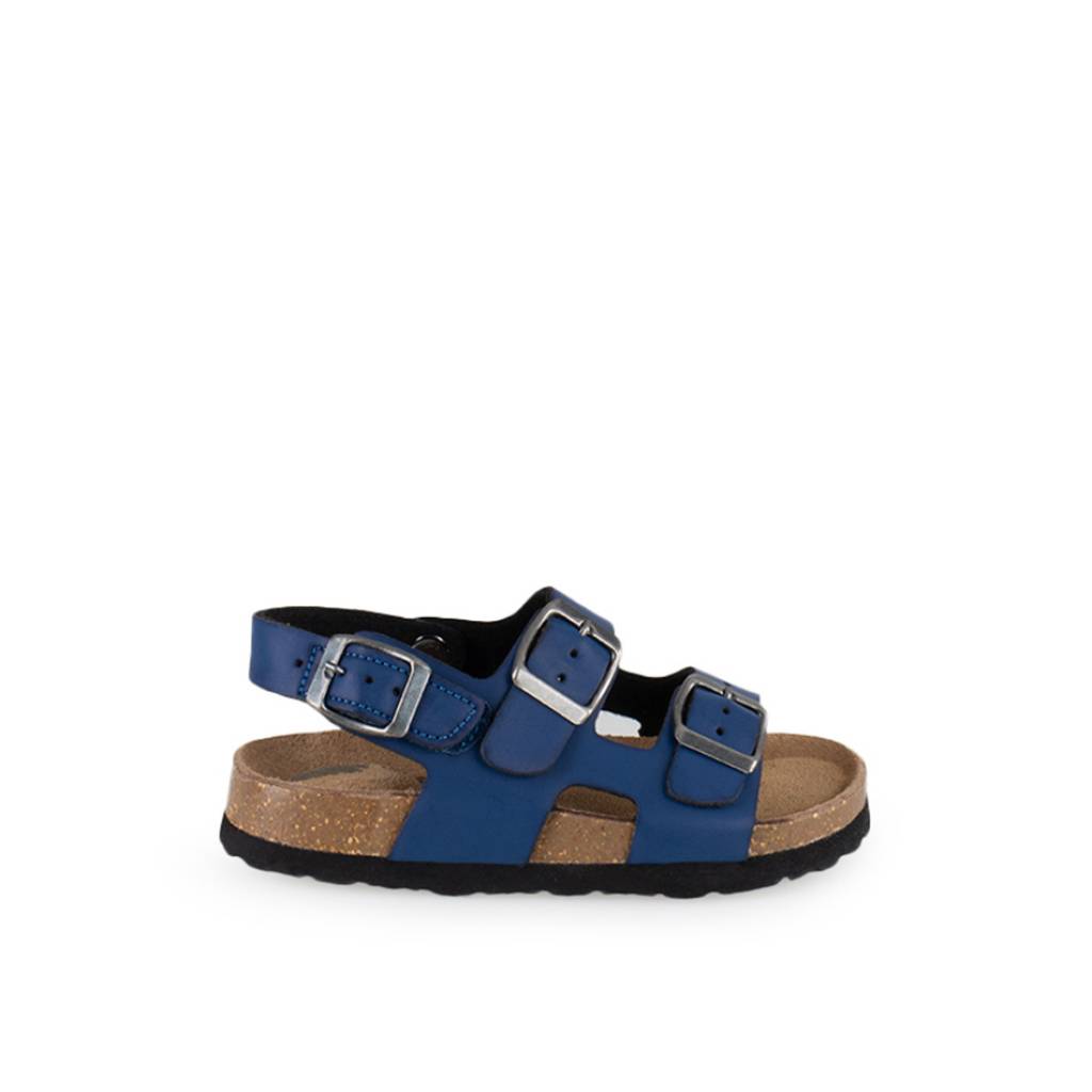 ZIAN _ en color AZUL  (2)