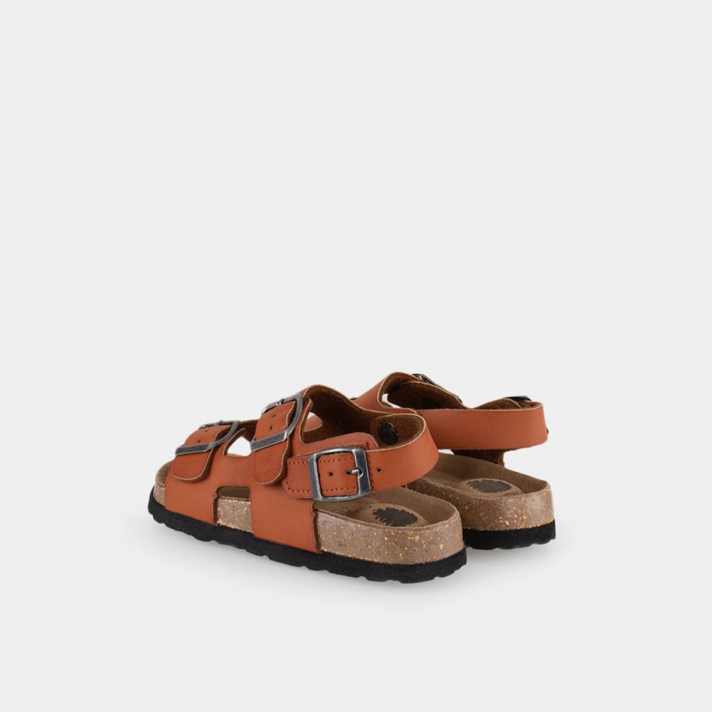 ZIAN _ en color CAMEL  (4)