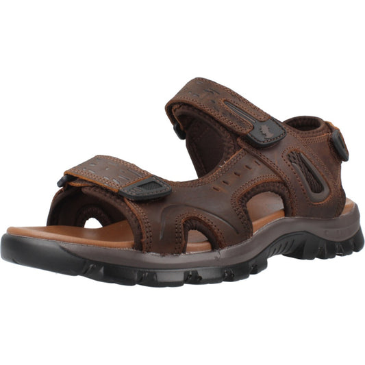 CORONEL TAPIOCCA T  en color MARRON  (1)