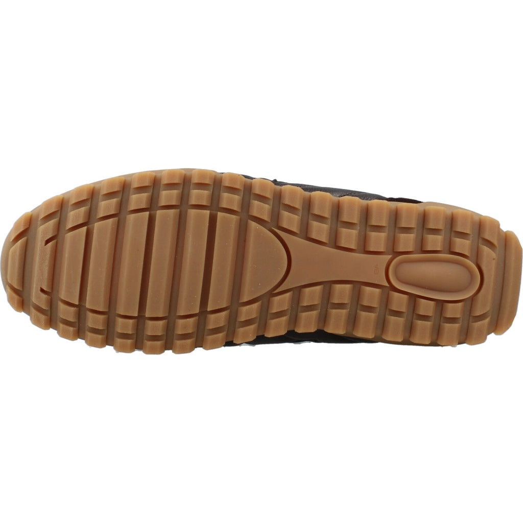 CETTI C INV en color COFFEE  (6)