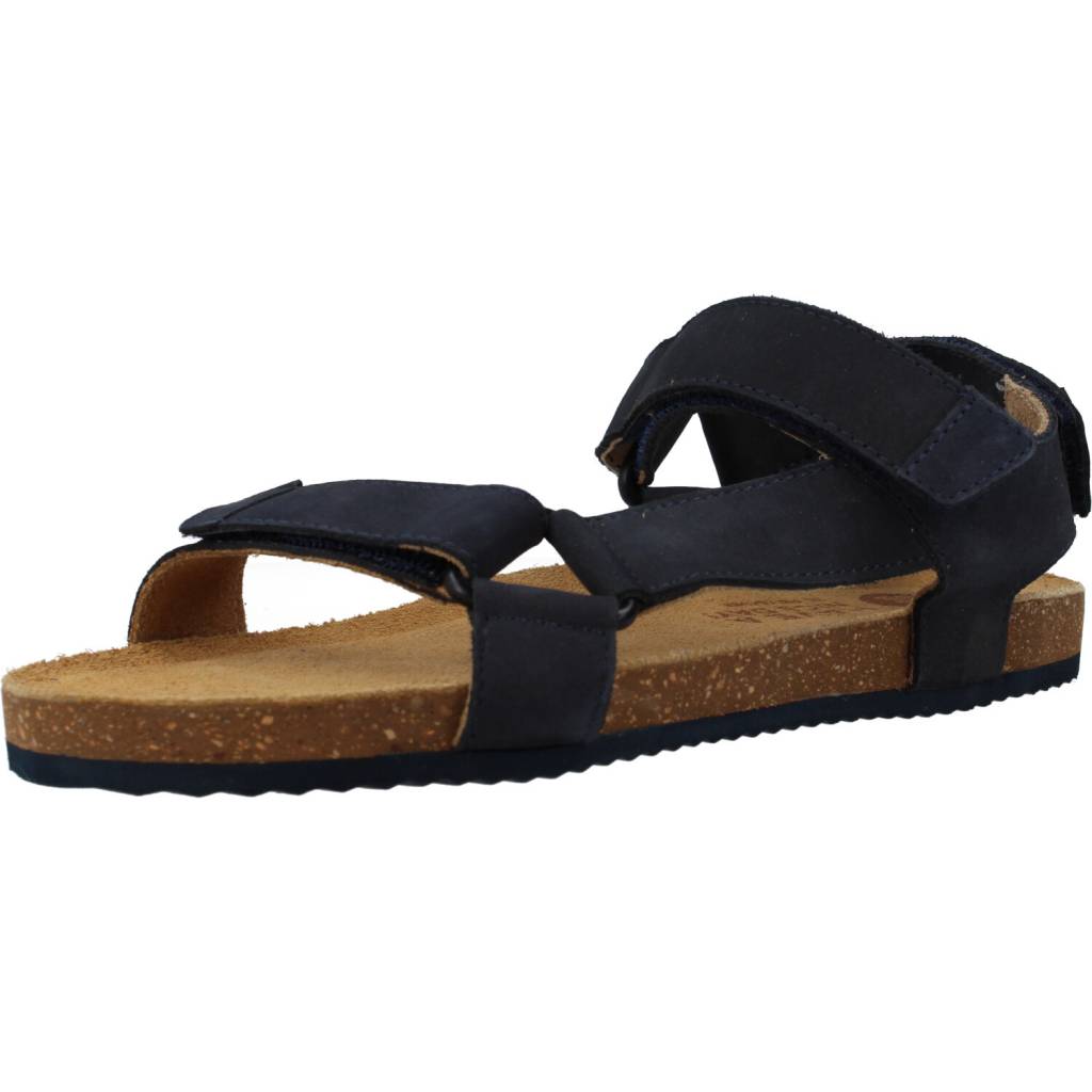 GIOSEPPO  COAMO en color MARINO  (1)