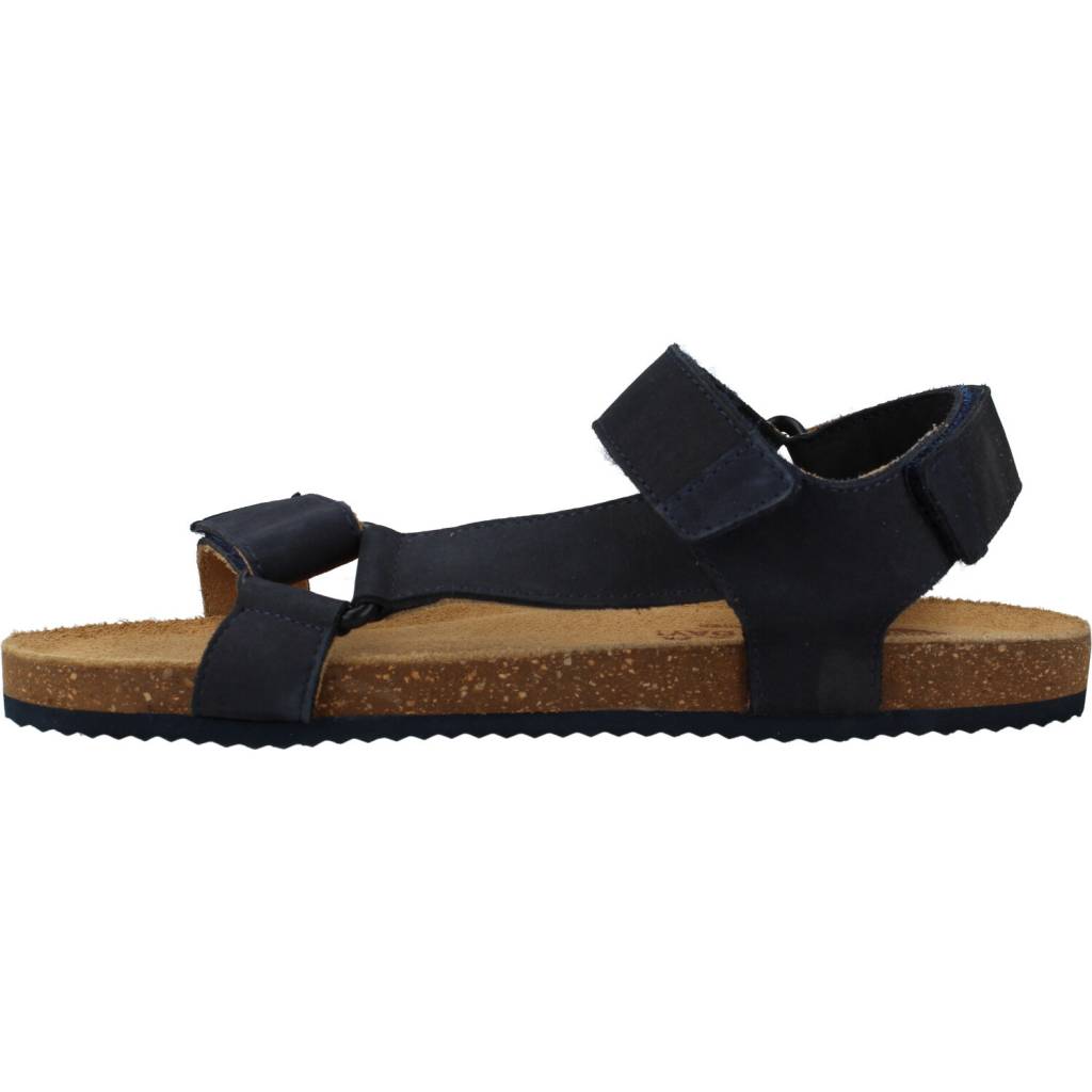 GIOSEPPO  COAMO en color MARINO  (2)