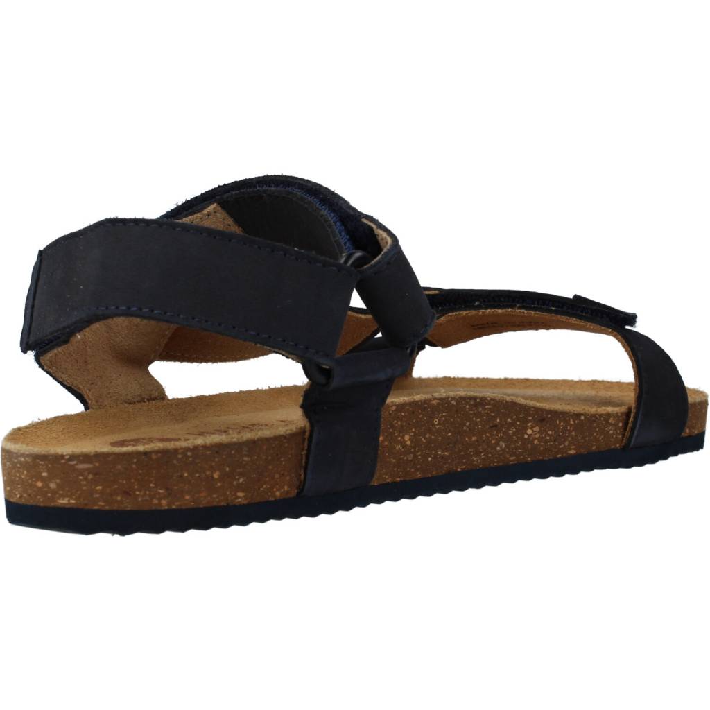 GIOSEPPO  COAMO en color MARINO  (4)