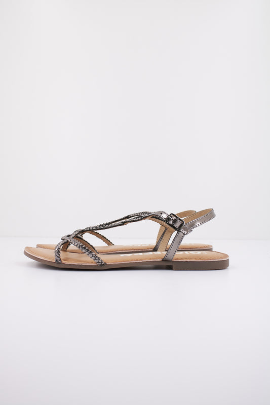 GIOSEPPO NIOAQUE en color PLOMO  (1)