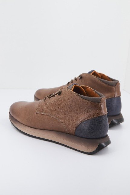 CETTI C en color TABACO  (2)