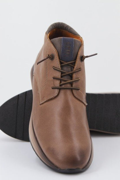 CETTI C en color TABACO  (3)