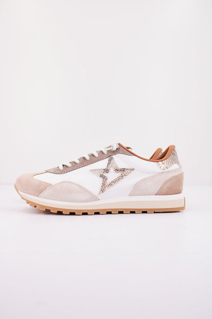 CETTI CSRA MES en color RNBLNC  (1)