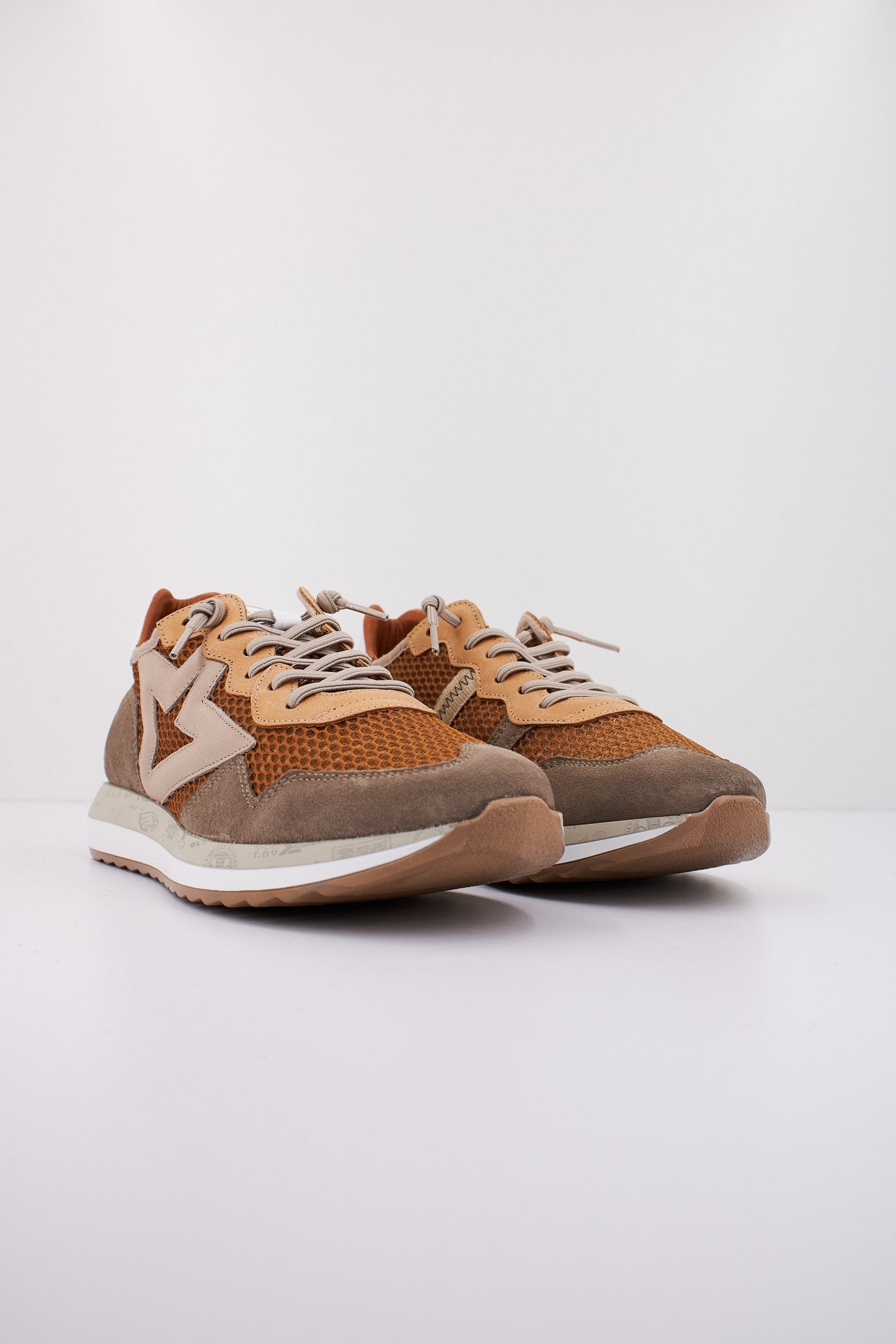 CETTI CINFI en color ORUJO  (2)