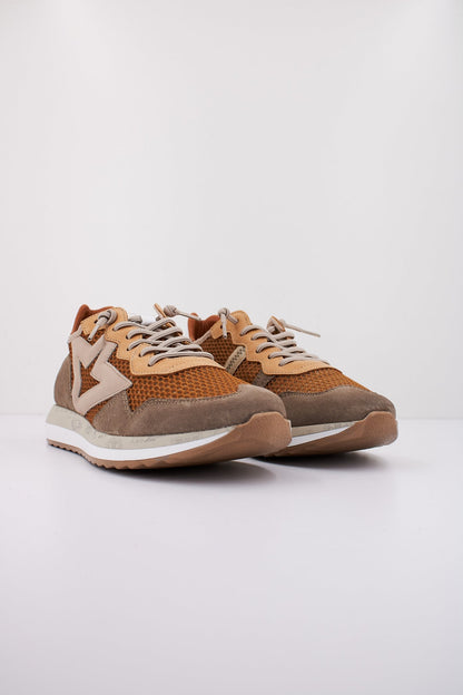 CETTI CINFI en color ORUJO  (2)