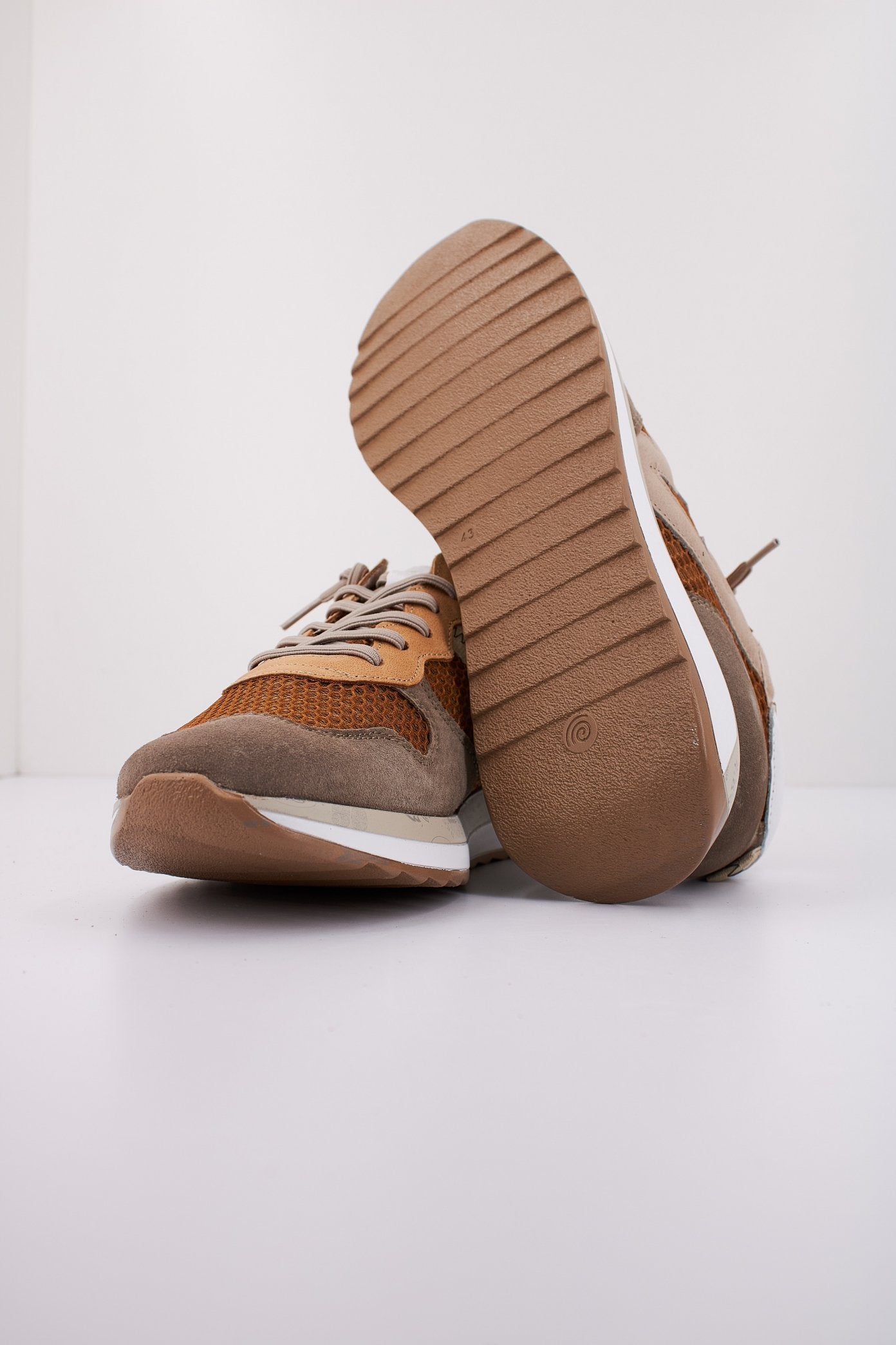 CETTI CINFI en color ORUJO  (4)