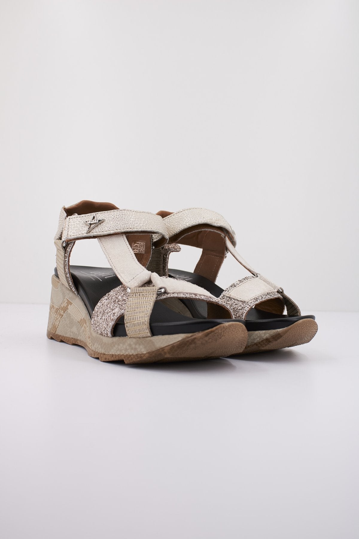 CETTI CSRA en color GLTRPLTN  (2)