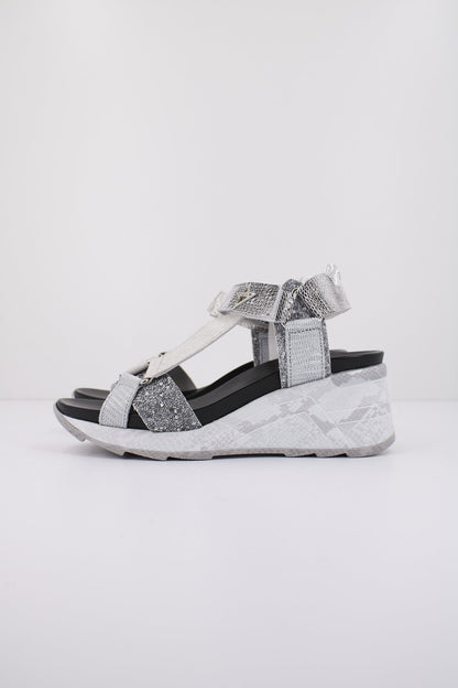 CETTI CSRA en color GLTRPLT  (1)