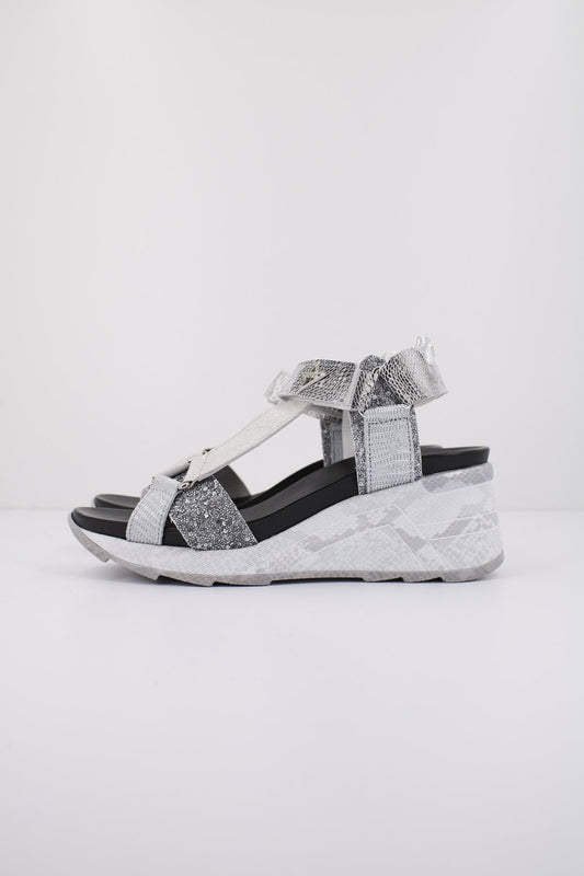 CETTI CSRA en color GLTRPLT  (1)