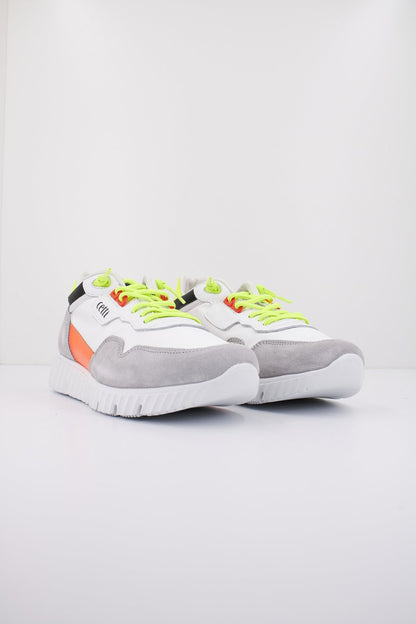 CETTI CZANDE V en color LCONON  (2)