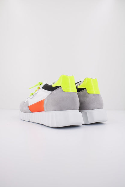 CETTI CZANDE V en color LCONON  (3)