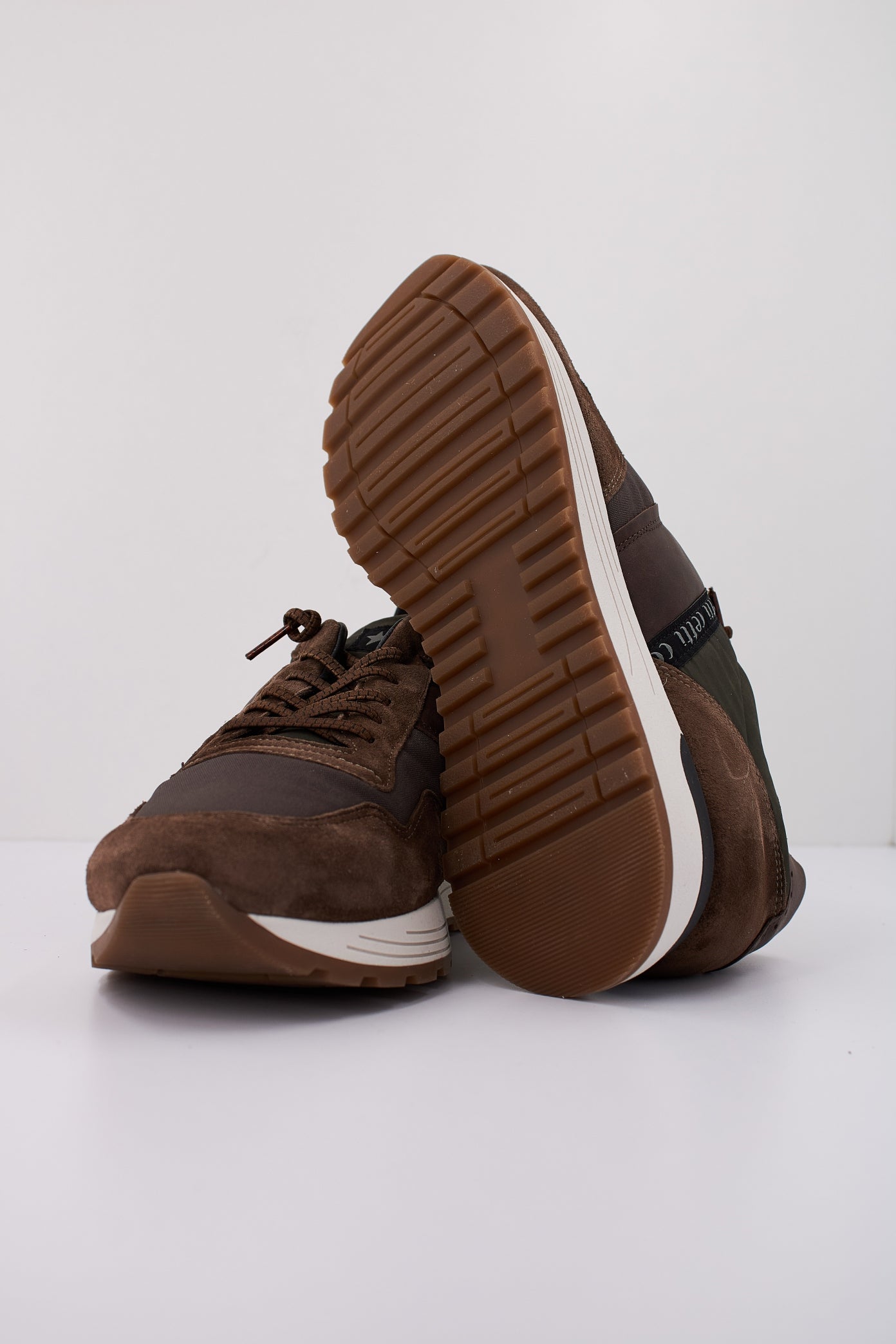 CETTI C INV en color VISON  (5)