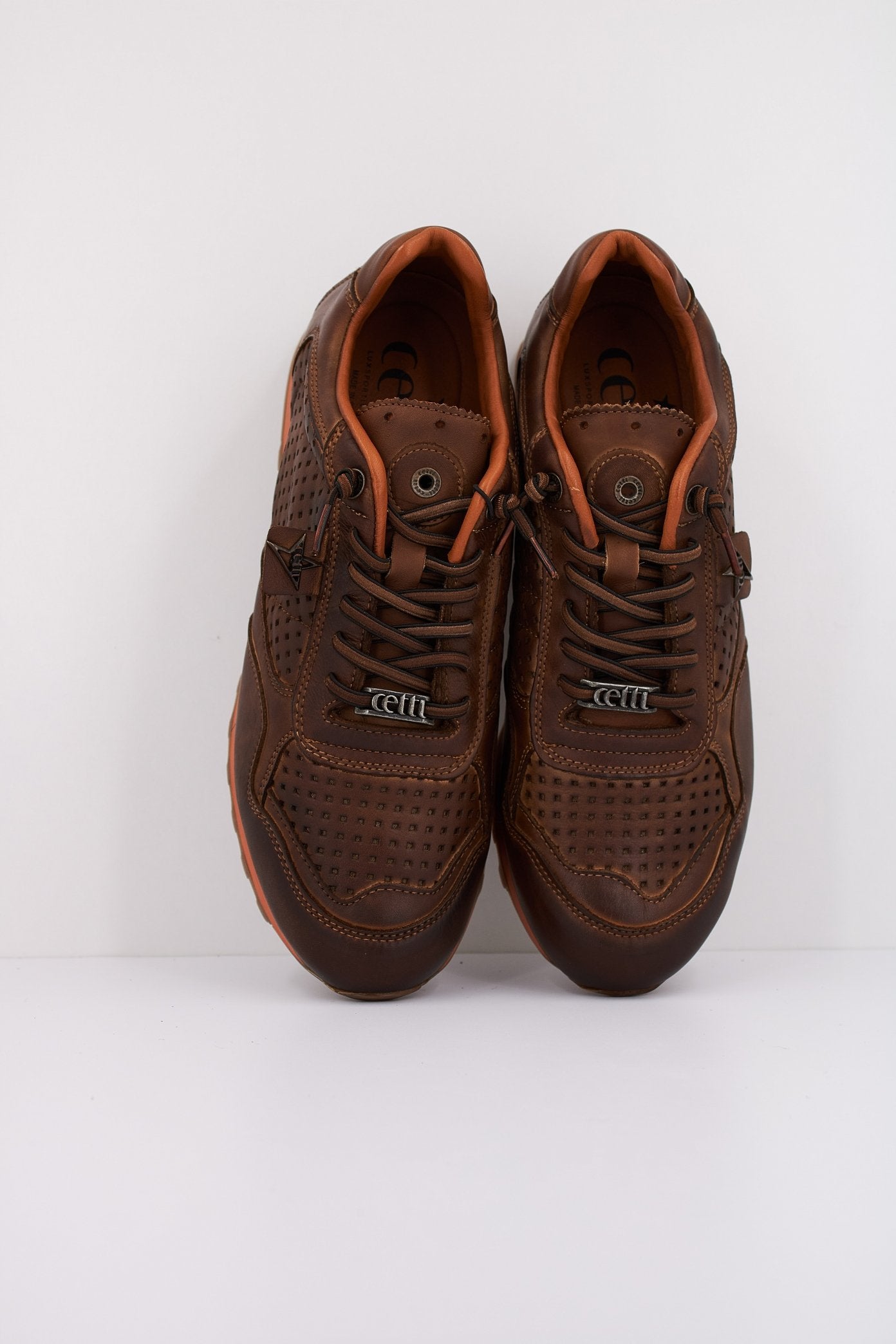 CETTI C en color TESTA  (3)