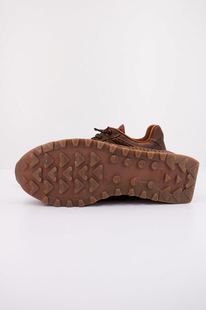 CETTI C en color TESTA  (5)