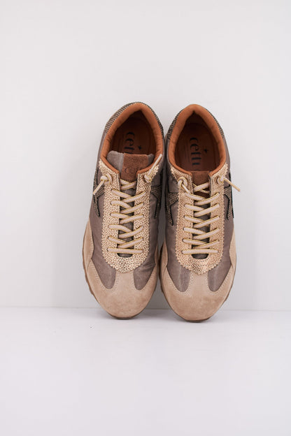 CETTI CSRAB en color DSSRT  (3)