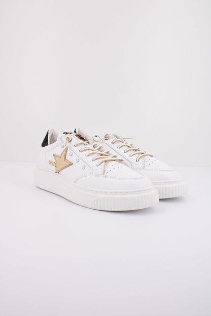 CETTI CSRA en color BLCORO  (2)