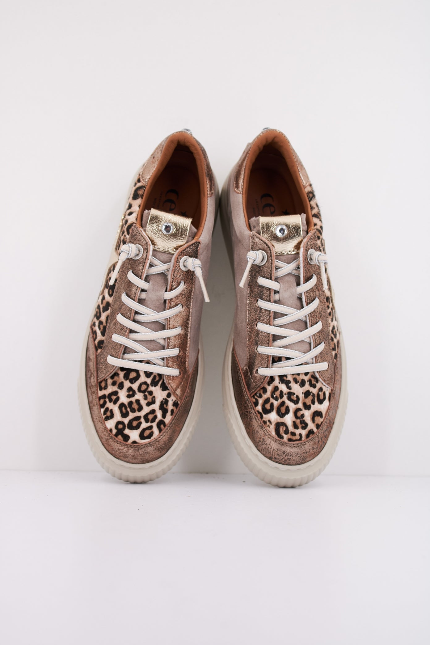 CETTI CSRA en color OLDRSE  (3)