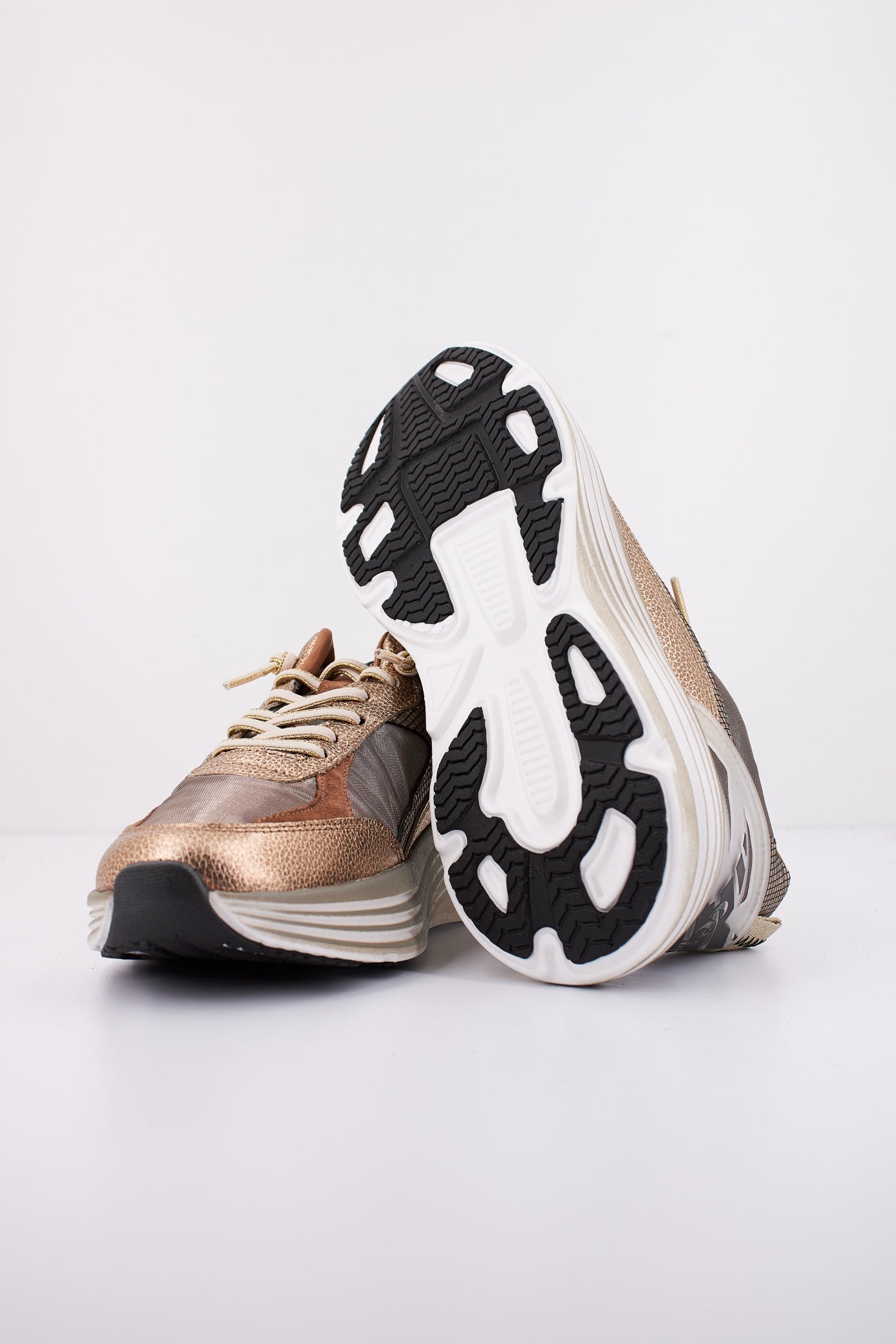 CETTI CSRA en color CHMPGN  (5)