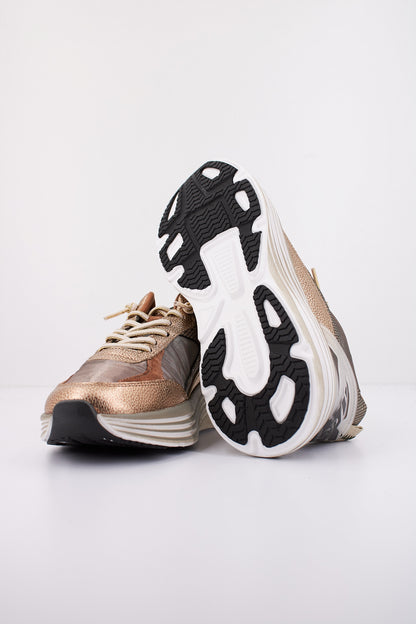 CETTI CSRA en color CHMPGN  (5)