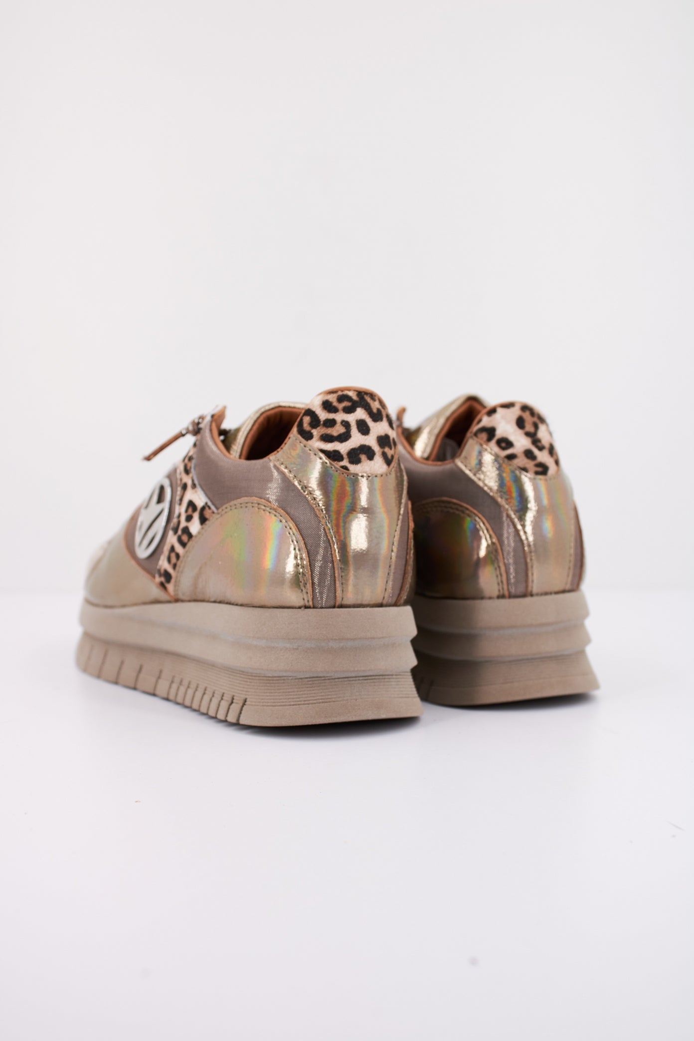 CETTI CSRA en color OLDRSE  (4)