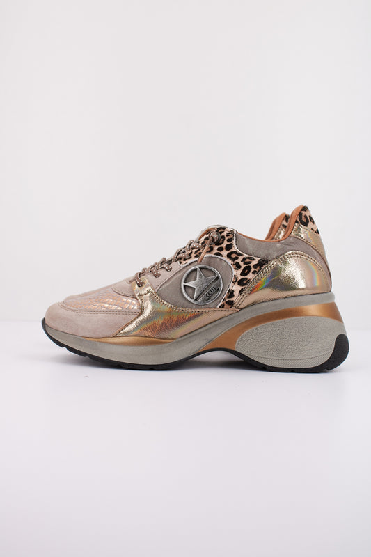 CETTI CSRA en color OLDRSE  (1)