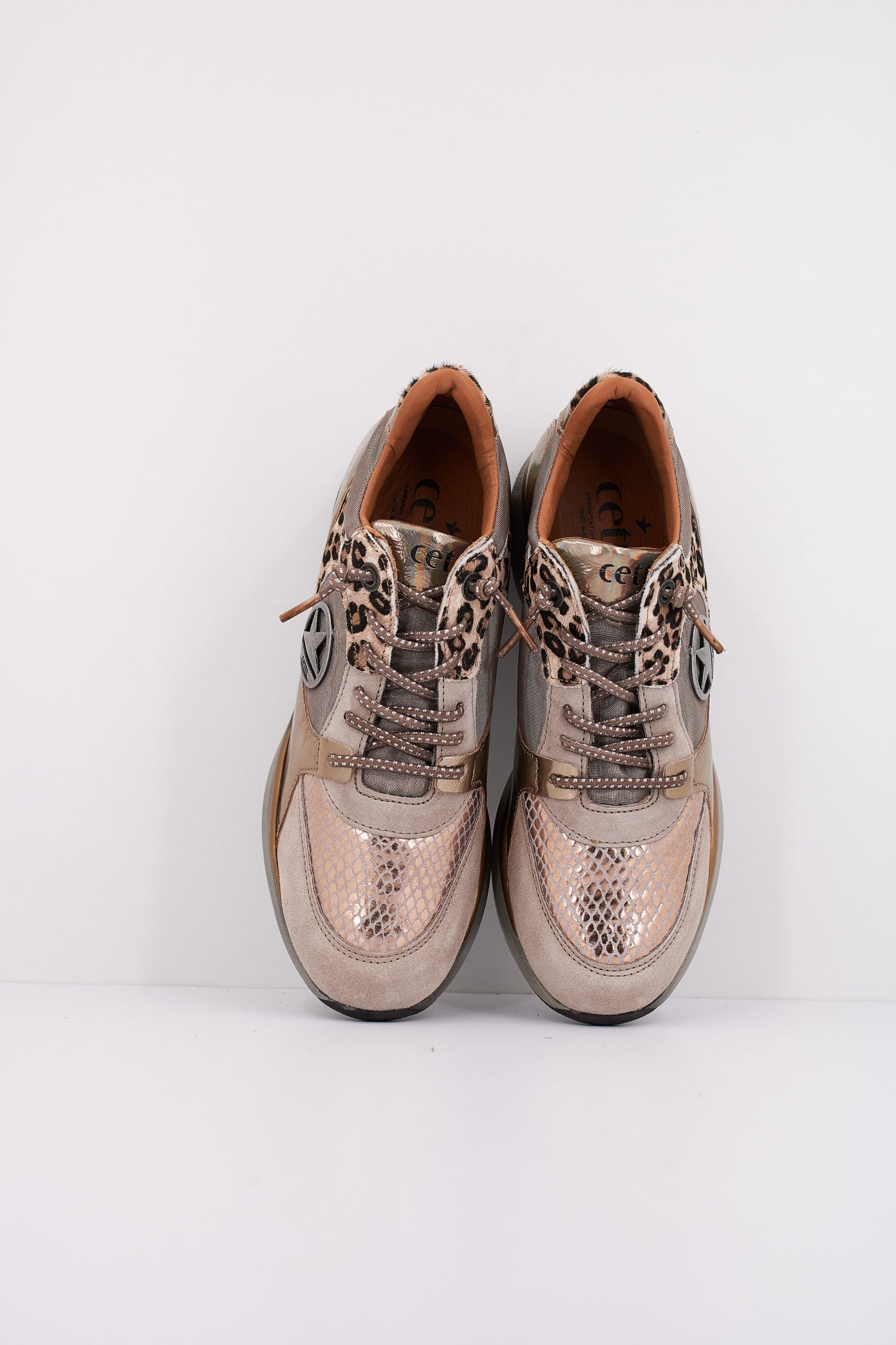 CETTI CSRA en color OLDRSE  (3)