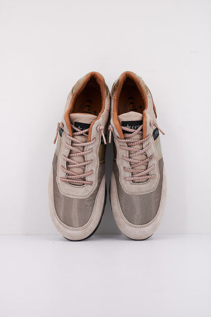 CETTI CSRA en color OLDRSE  (3)