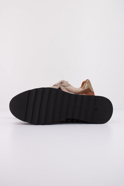 CETTI CSRA en color OLDRSE  (5)