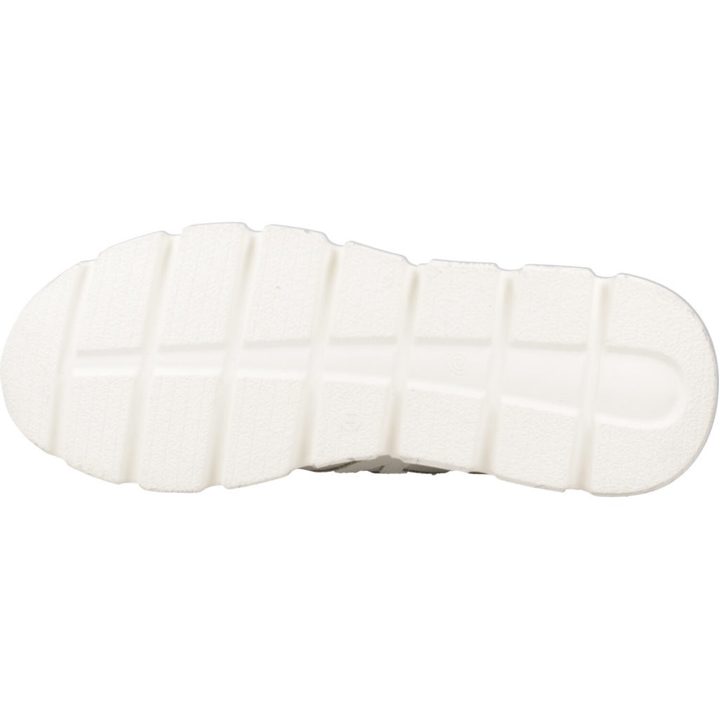 CETTI C V  en color KAKI  (6)