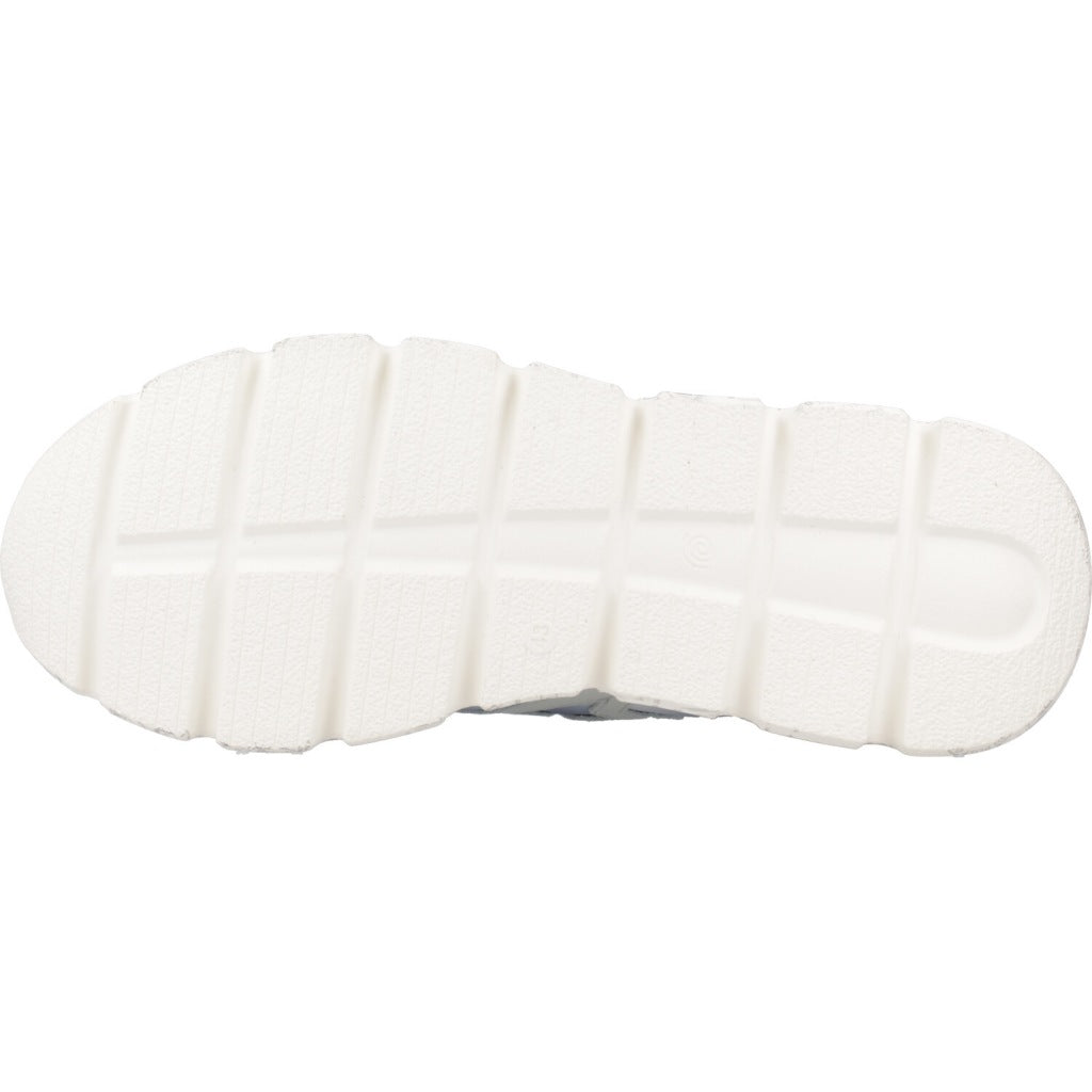 CETTI C V  en color MRNO  (6)