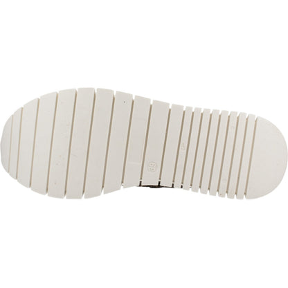 CETTI CSRA XL en color CHMPGN  (6)