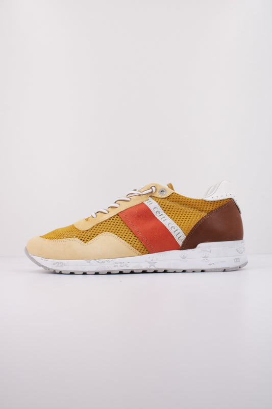 CETTI C V en color LEMON  (1)
