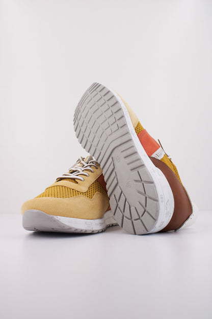 CETTI C V en color LEMON  (5)