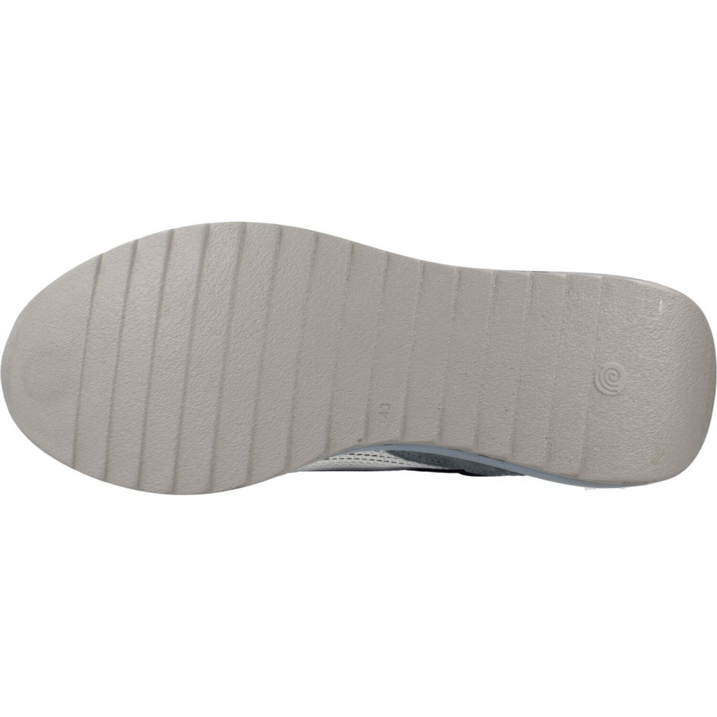 CETTI C V  en color MRNO  (6)