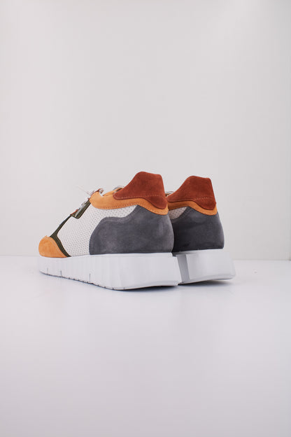 CETTI C V en color NRJBLN  (4)