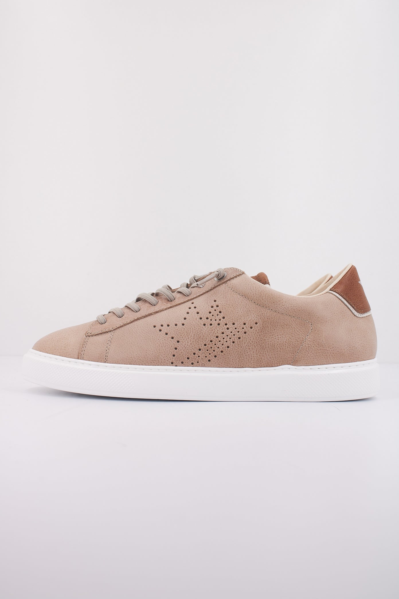 CETTI C V en color TIERRA  (1)